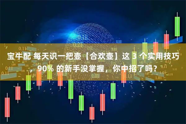 宝牛配 每天识一把壶【合欢壶】这 3 个实用技巧，90% 的新手没掌握，你中招了吗？